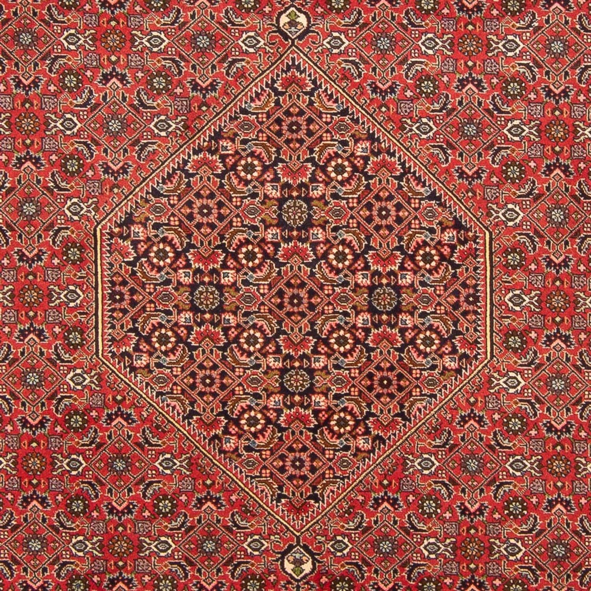 Perserteppich - Bidjar - Royal - 298 x 197 cm - rot