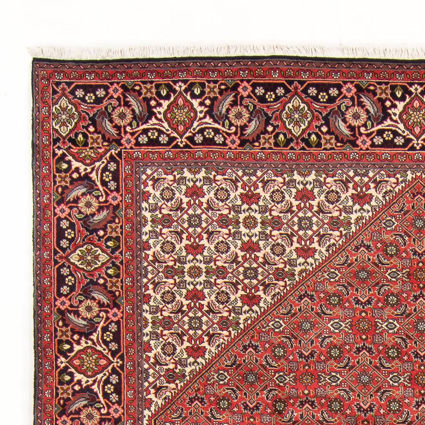 Bidjar - Bukan Teppich 298x197cm - Perserteppich