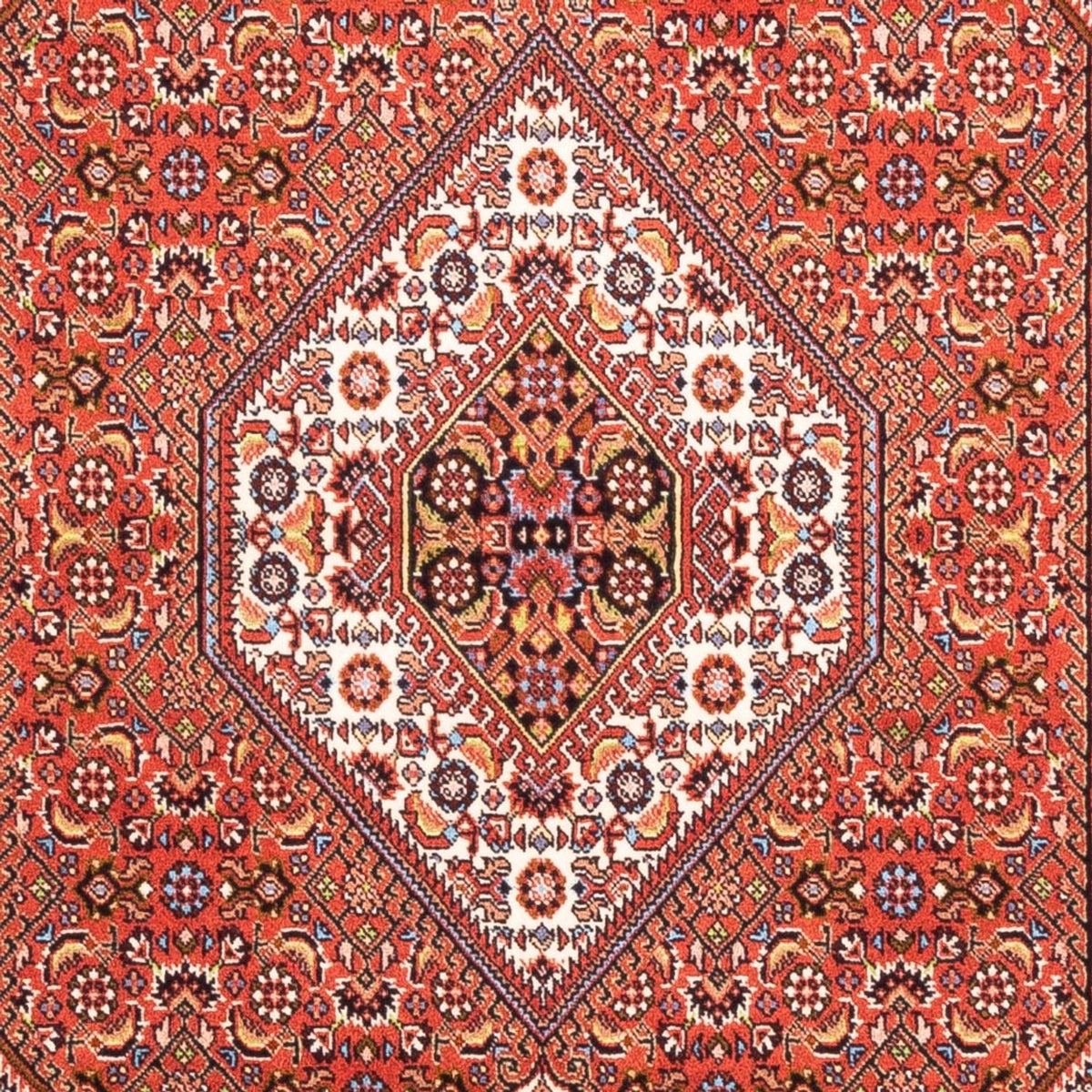 Perserteppich - Bidjar - Royal - 182 x 110 cm - rot