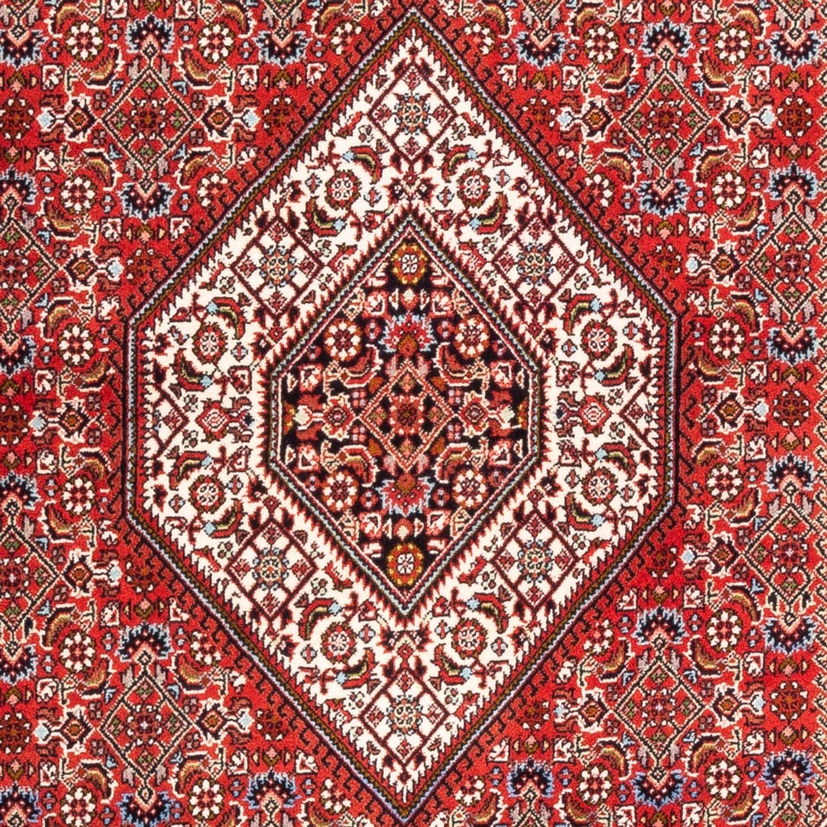 Perserteppich - Bidjar - Royal - 176 x 110 cm - rot