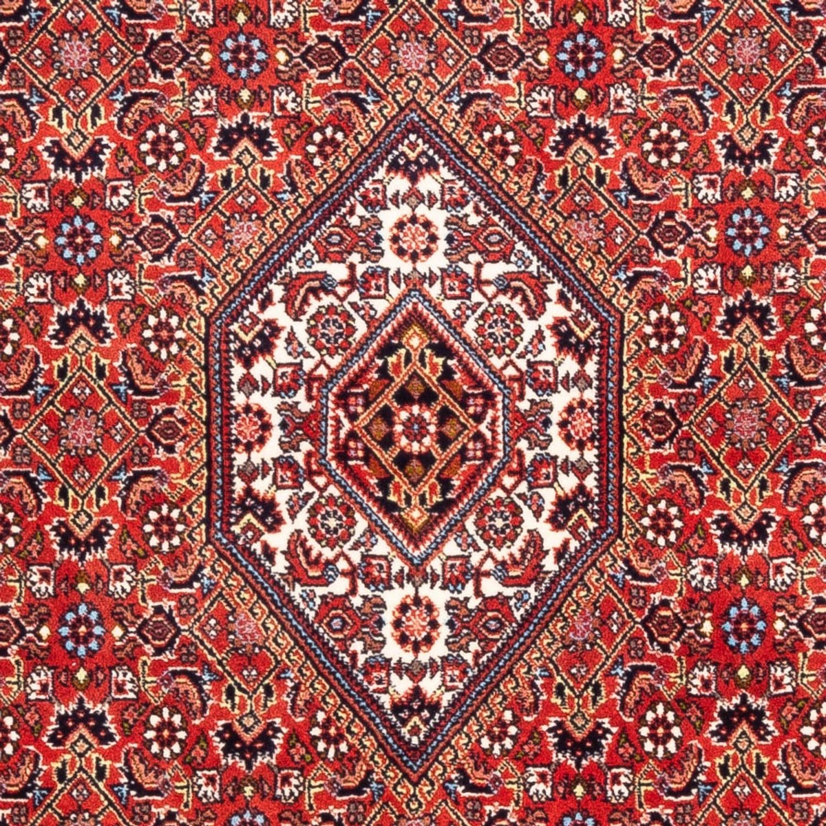 Perserteppich - Bidjar - Royal - 174 x 108 cm - rot