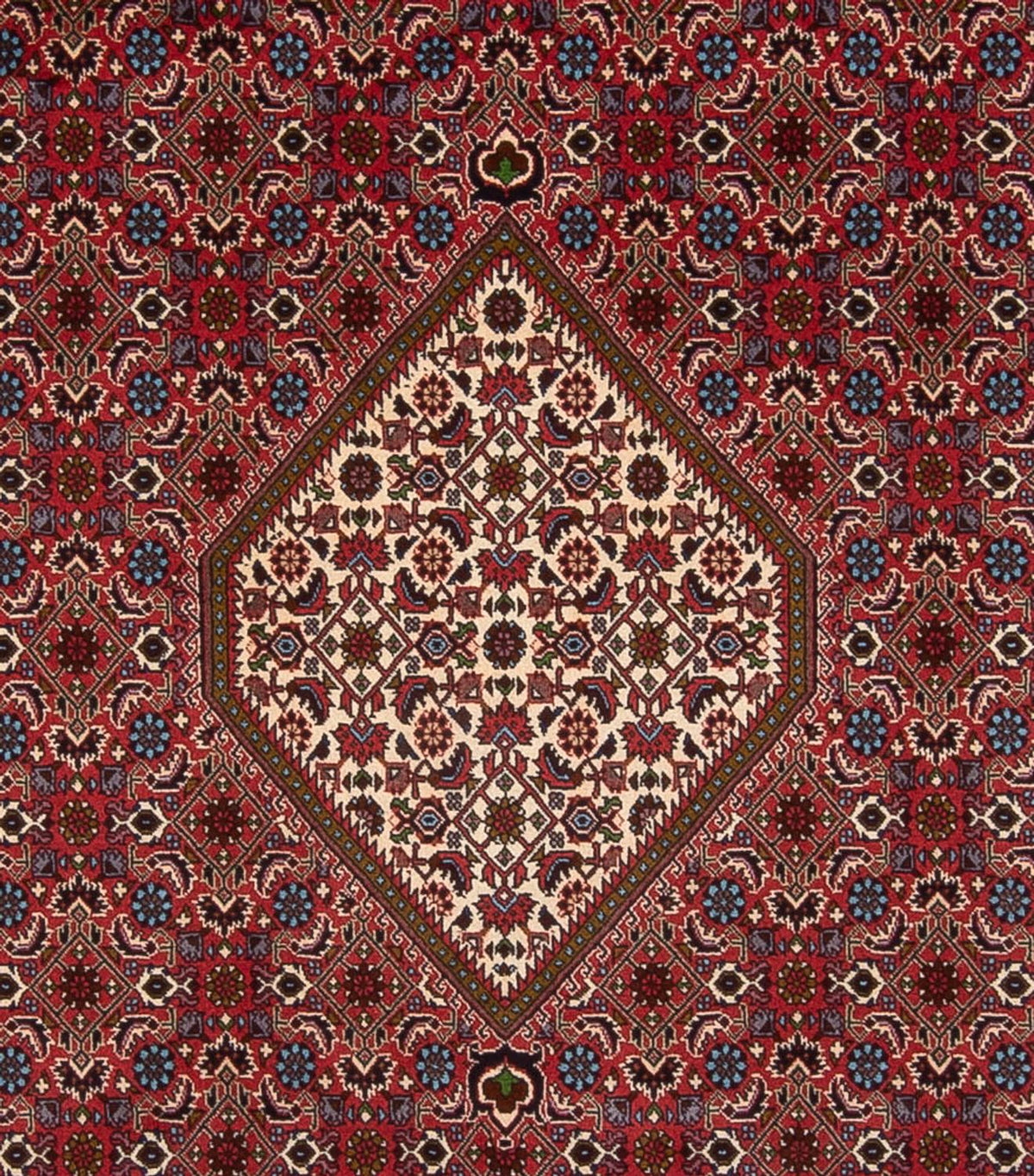 Perserteppich - Bidjar - Royal - 342 x 252 cm - dunkelrot