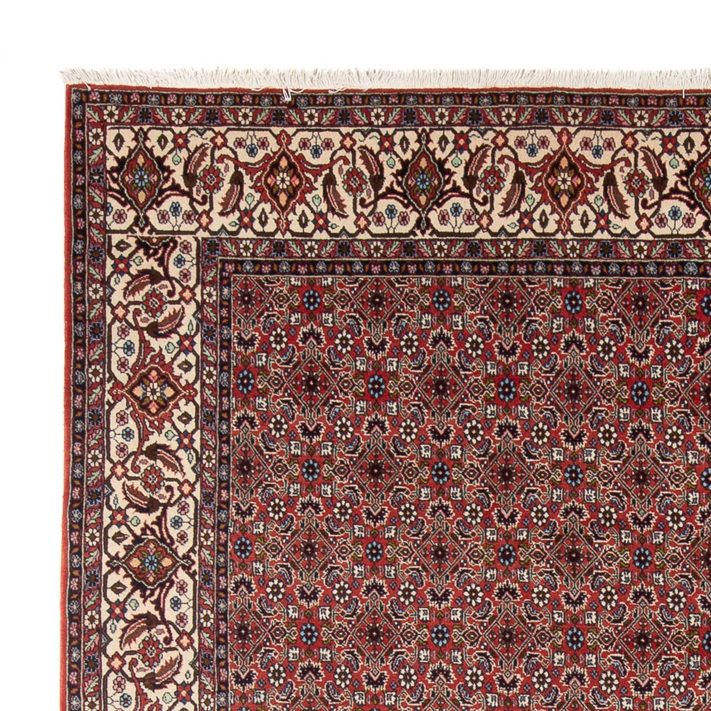 Bidjar - Bukan Teppich 296x248cm - Perserteppich