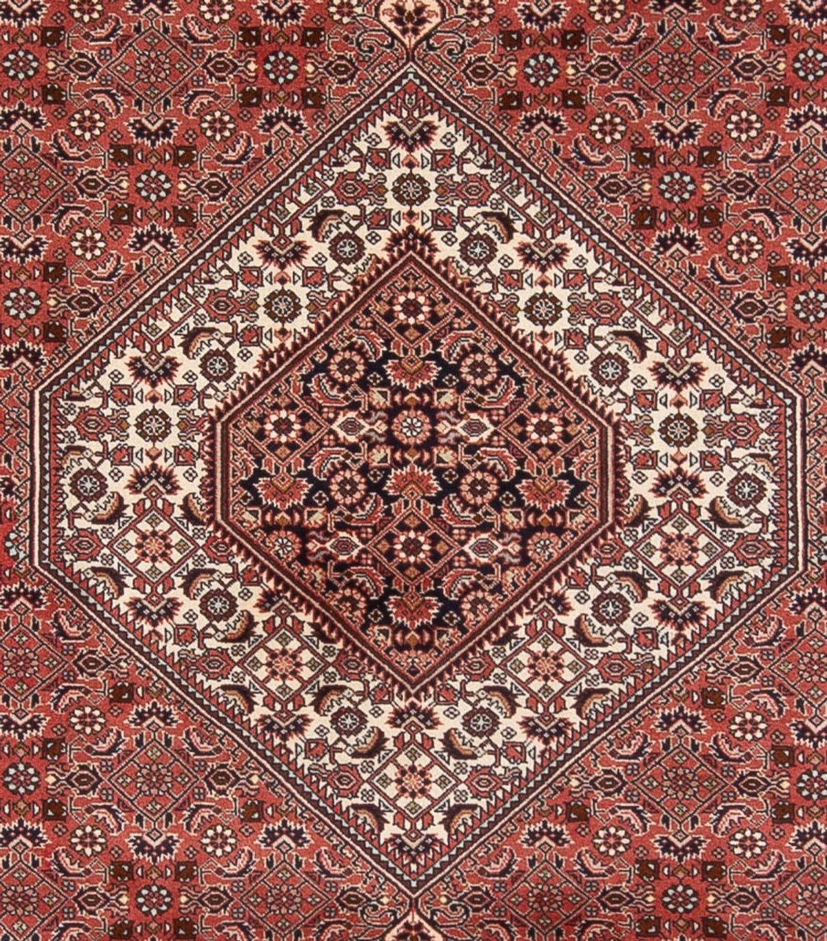 Perserteppich - Bidjar - Royal - 333 x 247 cm - dunkelrot