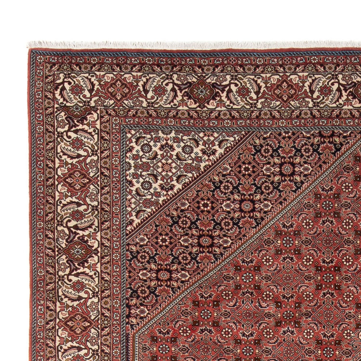 Bidjar - Bukan Teppich 247x333cm - Perserteppich