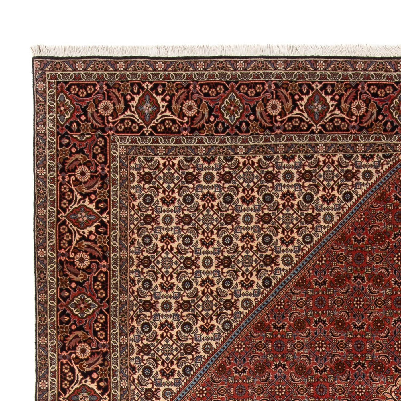 Bidjar - Bukan Teppich 344x250cm - Perserteppich