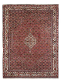 Perserteppich - Bidjar - Royal - 343 x 247 cm - rost