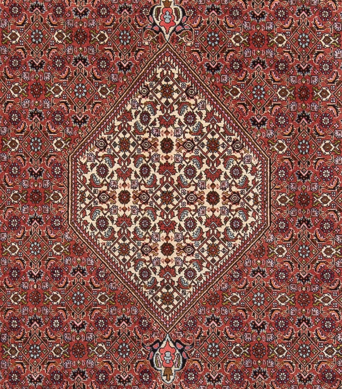 Perserteppich - Bidjar - Royal - 343 x 247 cm - rost