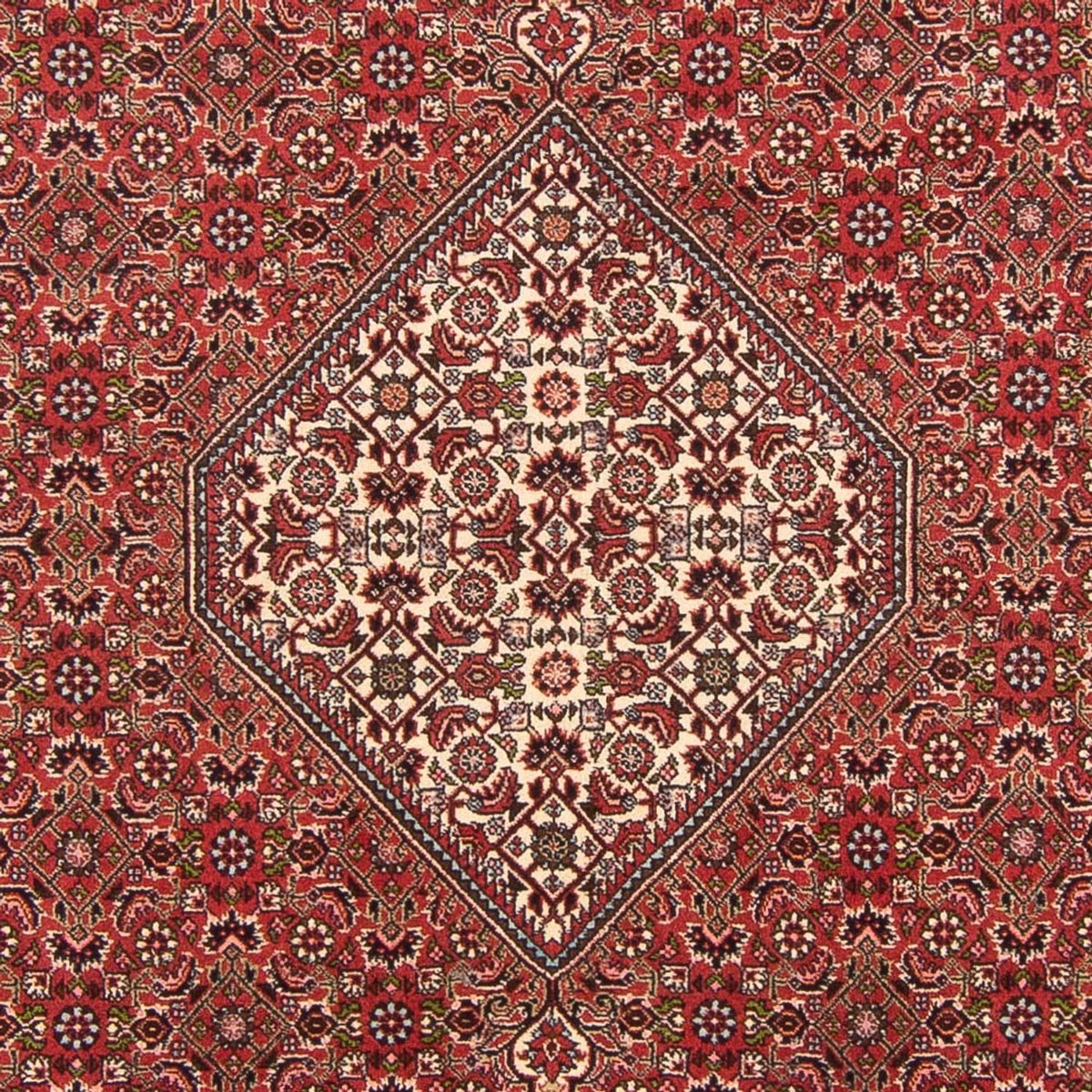 Perserteppich - Bidjar - Royal - 290 x 202 cm - rot
