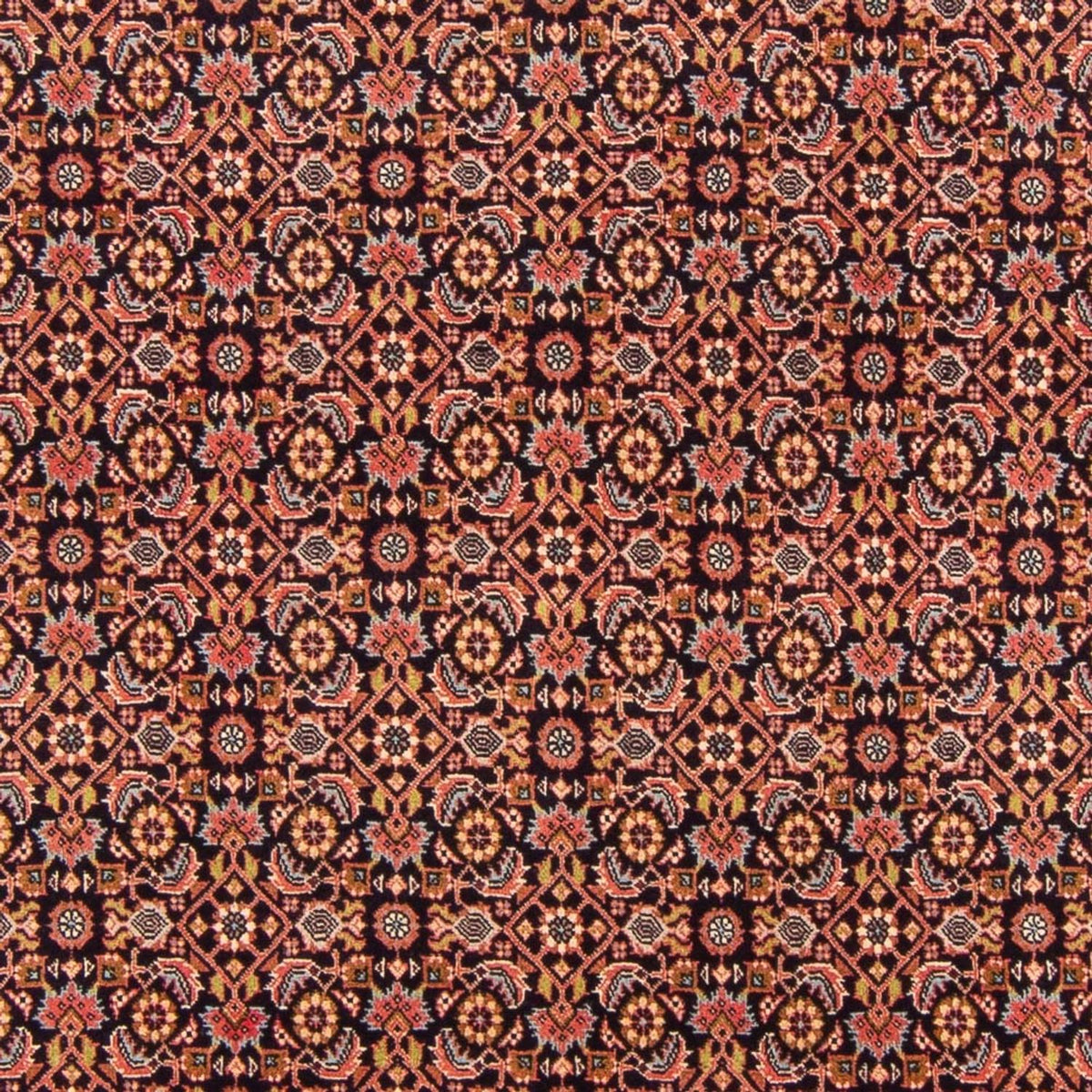 Perserteppich - Bidjar - Royal - 302 x 200 cm - rot