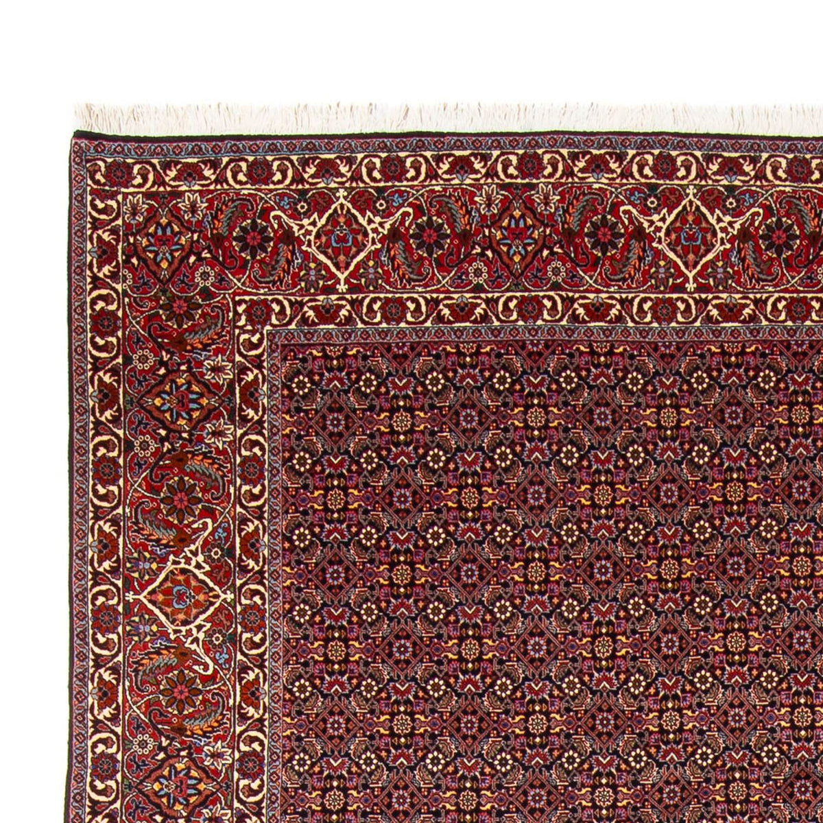 Bidjar - Bukan Teppich 260x337cm - Perserteppich