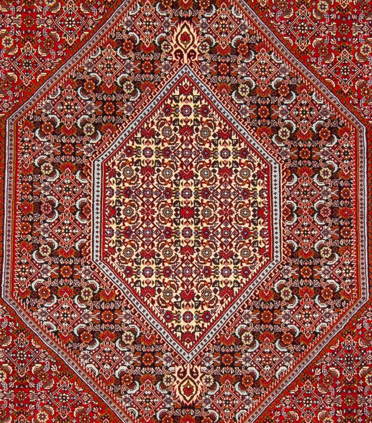 Perserteppich - Bidjar - Royal - 341 x 248 cm - rot
