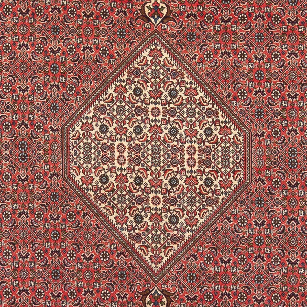 Perserteppich - Bidjar - Royal - 395 x 300 cm - hellrot
