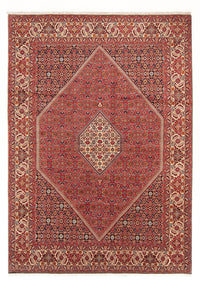 Perserteppich - Bidjar - Royal - 293 x 206 cm - rot