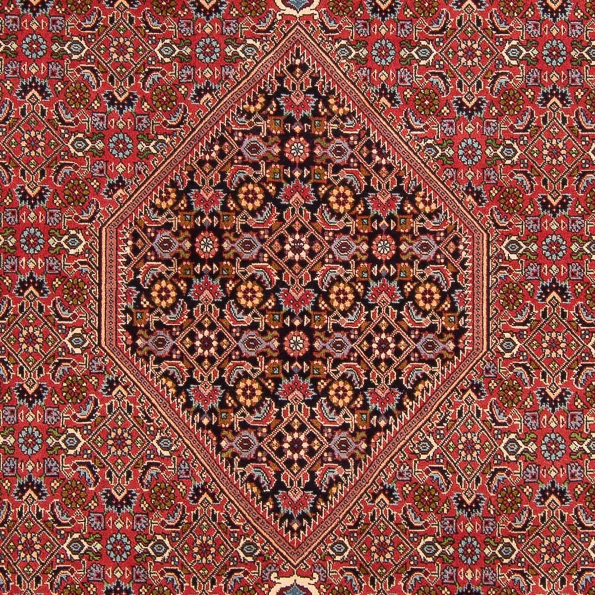 Perserteppich - Bidjar - Royal - 307 x 200 cm - rot