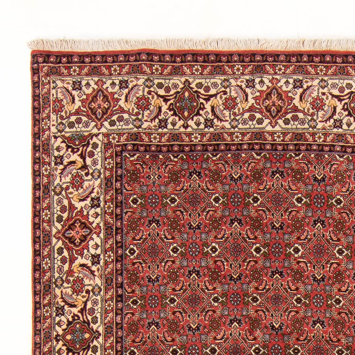 Bidjar - Bukan Teppich 195x289cm - Perserteppich