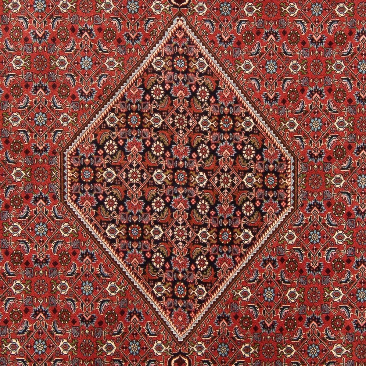 Perserteppich - Bidjar - Royal - 310 x 200 cm - rot