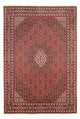 Bidjar - Bukan Teppich 298x200cm - Perserteppich