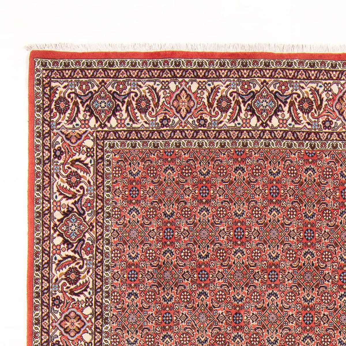 Perserteppich - Bidjar - Royal - 298 x 196 cm - rot