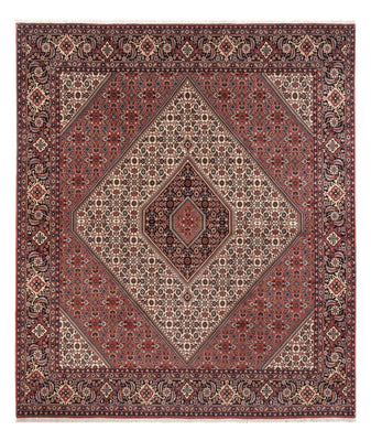 Perserteppich - Bidjar - Royal - 296 x 252 cm - creme