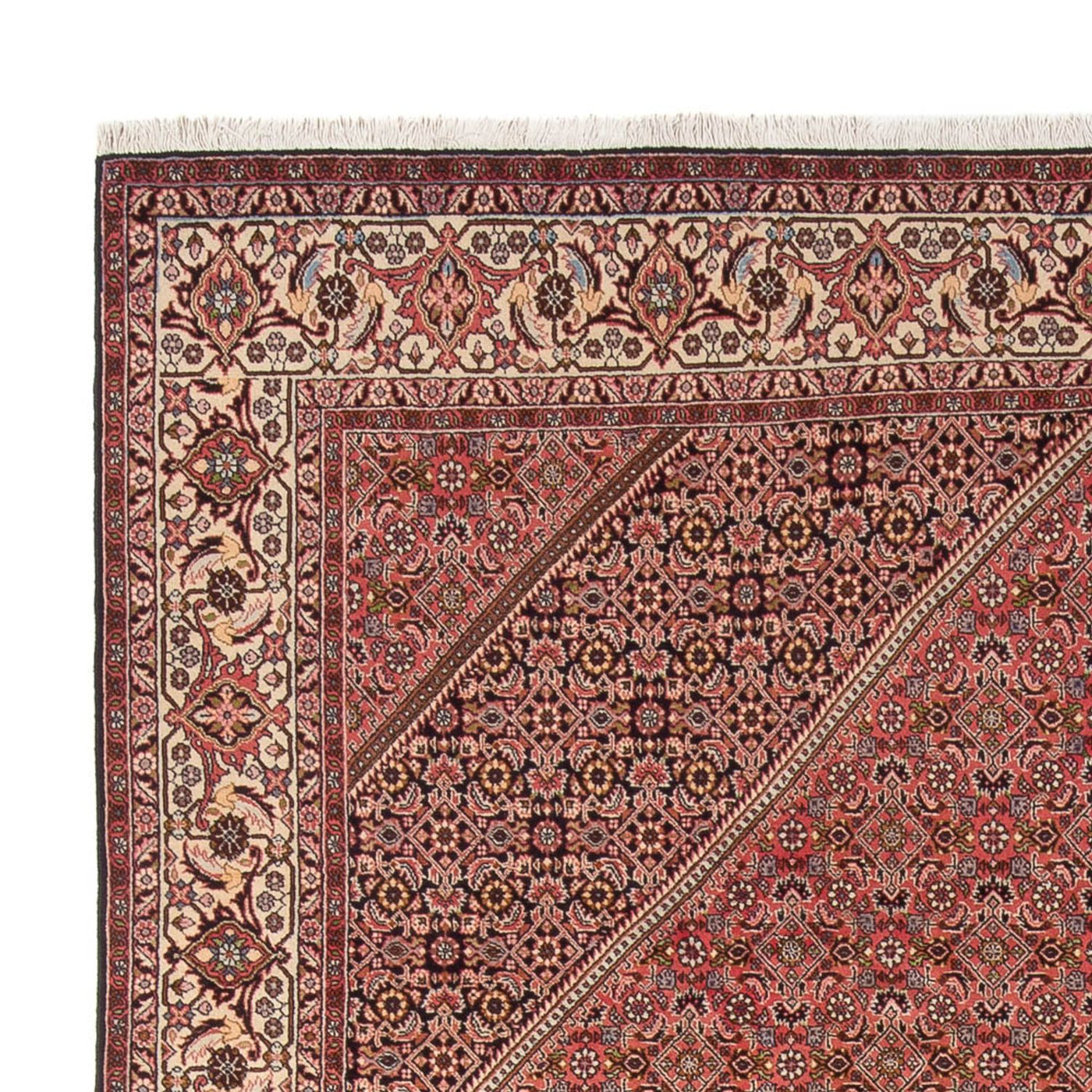 Bidjar - Bukan Teppich 342x250cm - Perserteppich