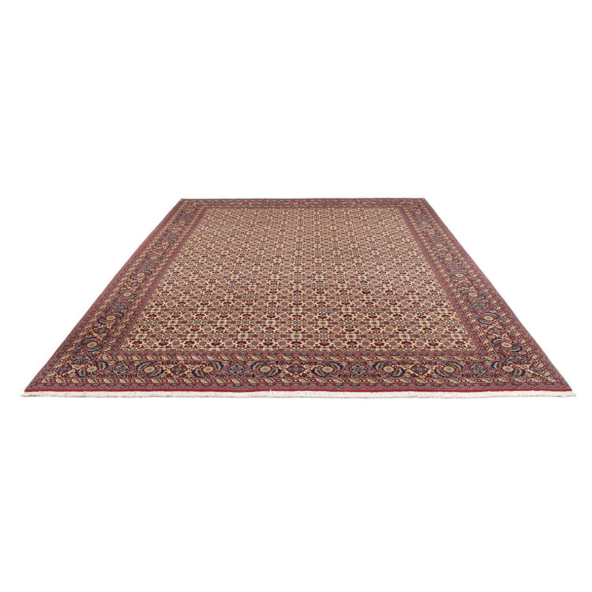 Perserteppich - Bidjar - Royal - 344 x 245 cm - creme
