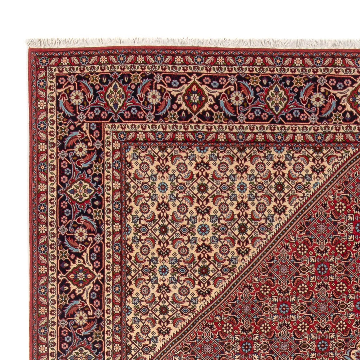 Bidjar - Bukan Teppich 246x341cm - Perserteppich