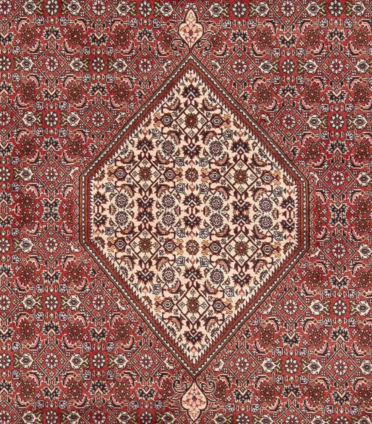 Perserteppich - Bidjar - Royal - 343 x 250 cm - dunkelrot