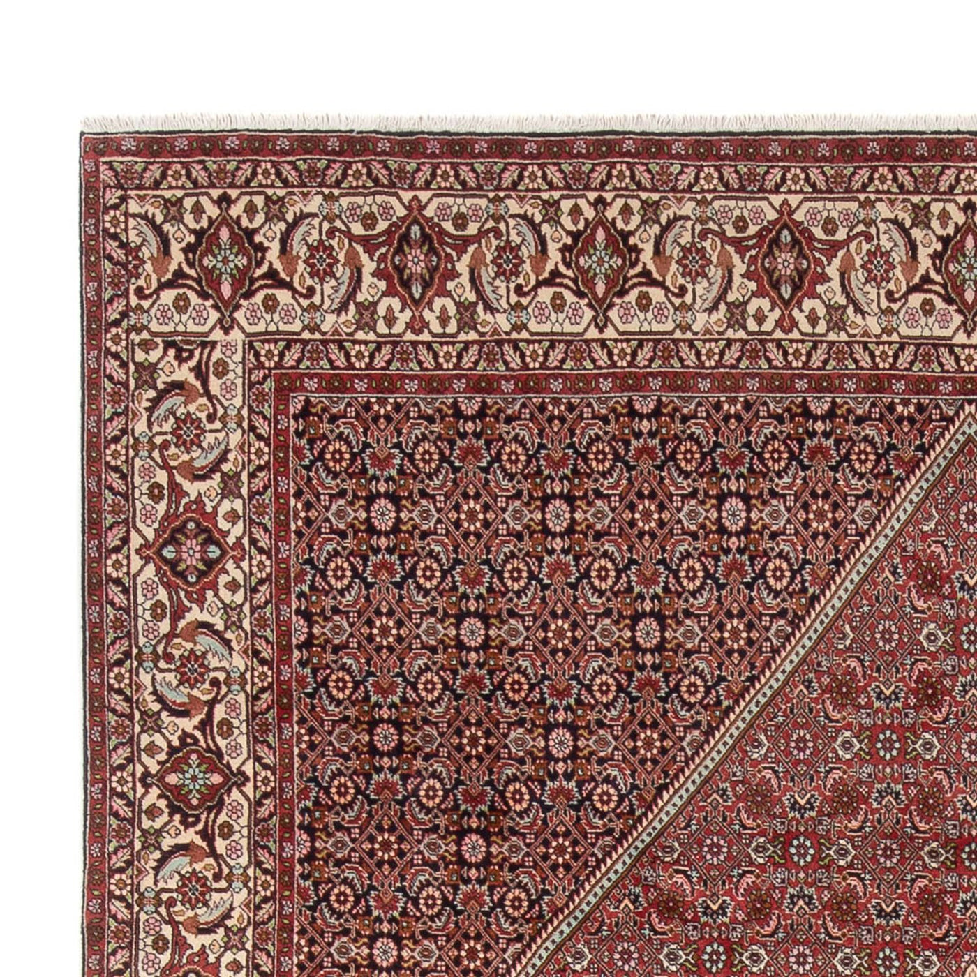 Bidjar - Bukan Teppich 343x250cm - Perserteppich