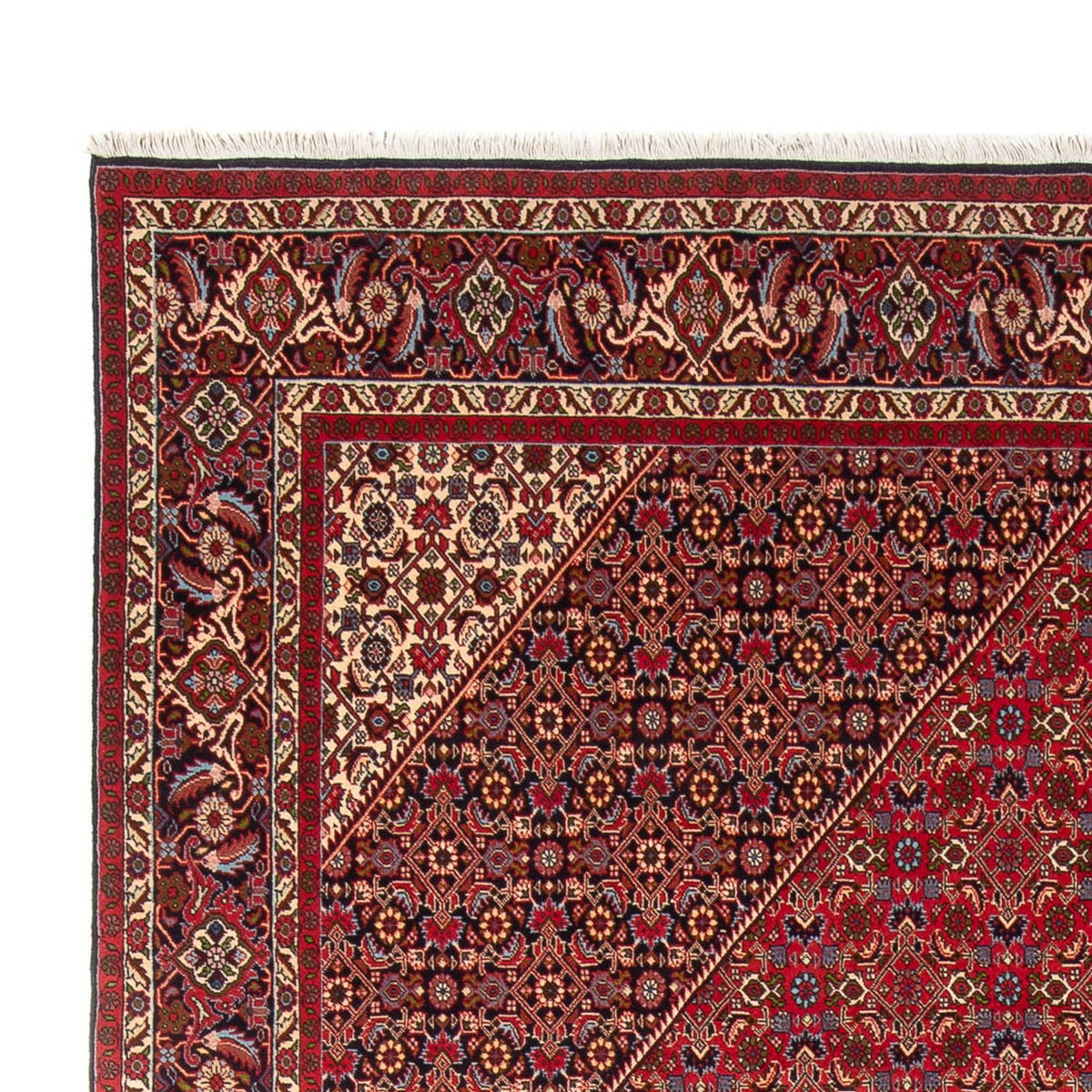 Bidjar - Bukan Teppich 249x358cm - Perserteppich