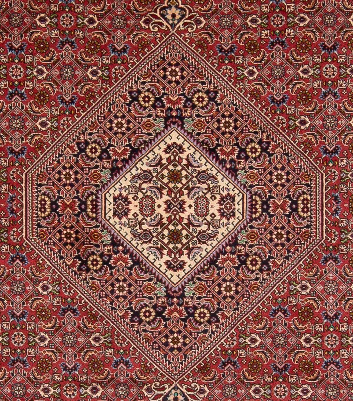 Perserteppich - Bidjar - Royal - 339 x 249 cm - dunkelrot