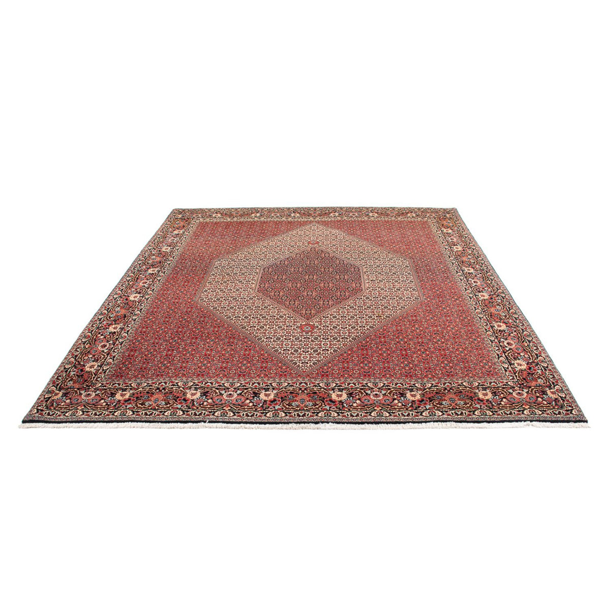Perserteppich - Bidjar - Royal - 300 x 253 cm - creme