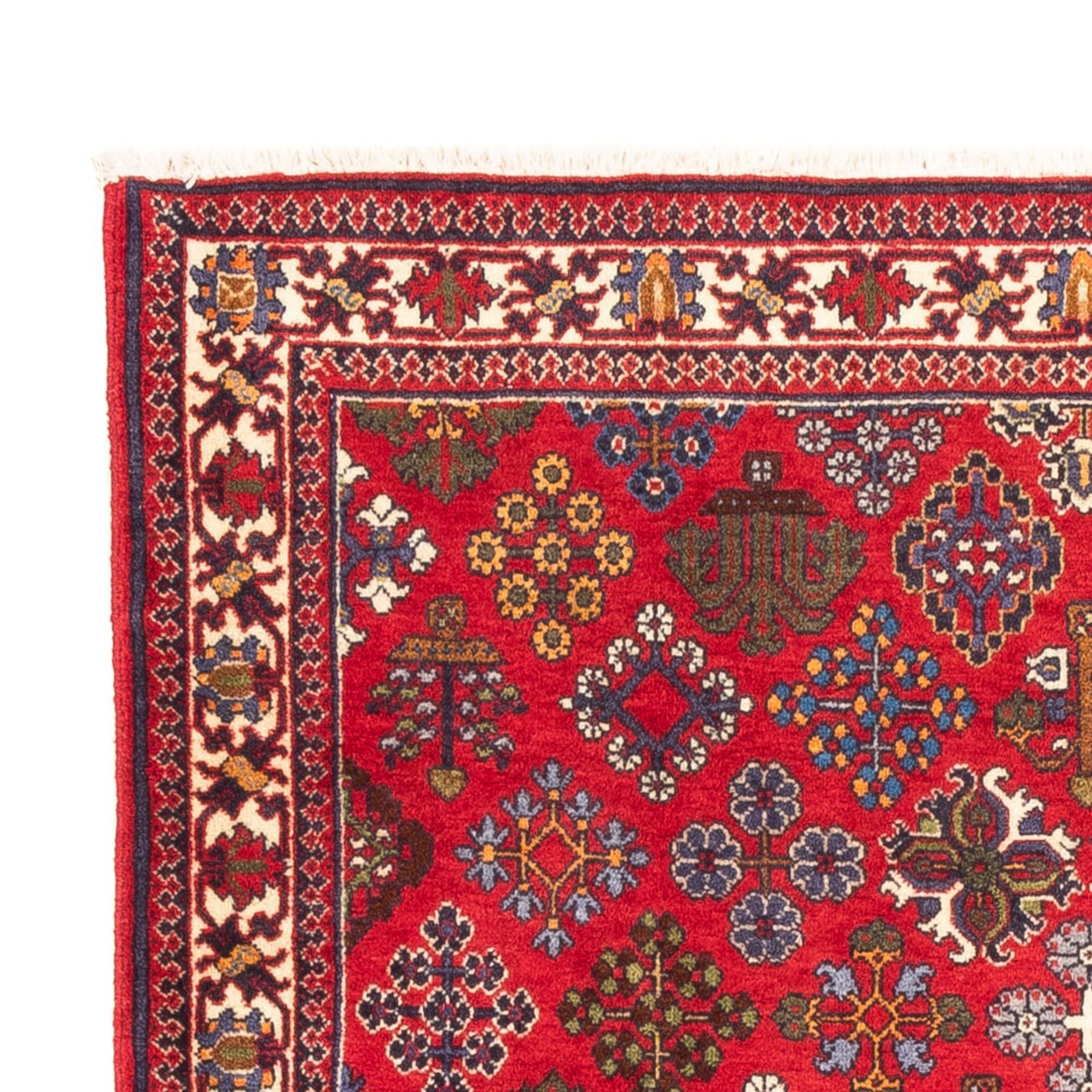 Meymeh Teppich 168x110cm - Perserteppich