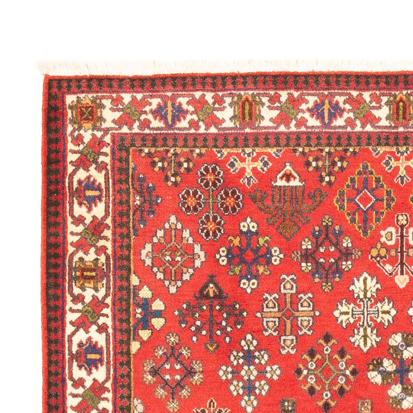 Meymeh Teppich 154x107cm - Perserteppich