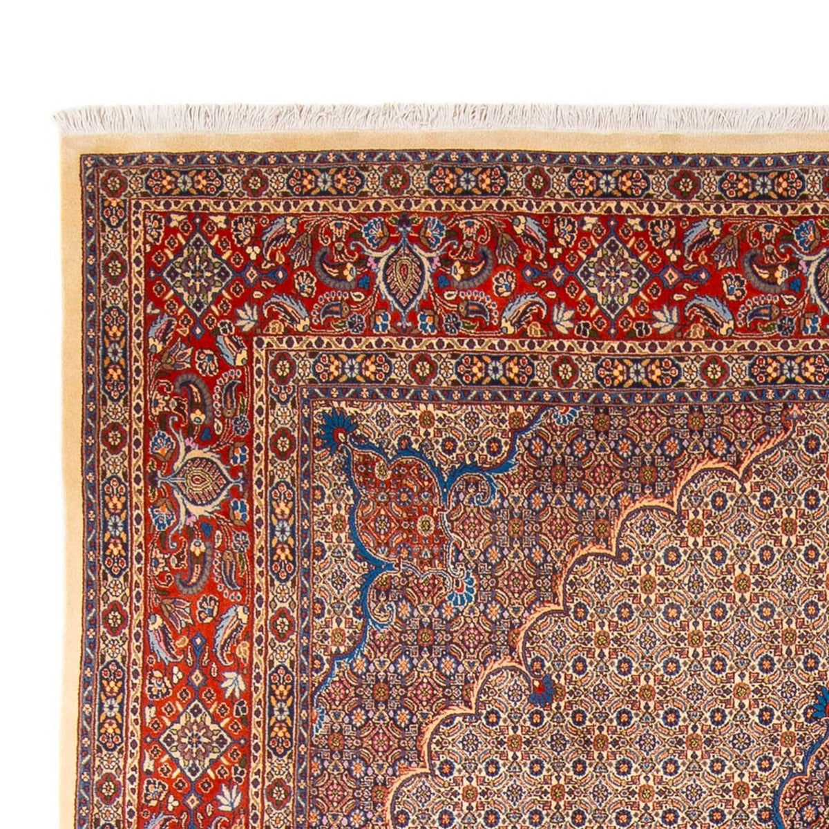 Moud Teppich 252x360cm - Perserteppich