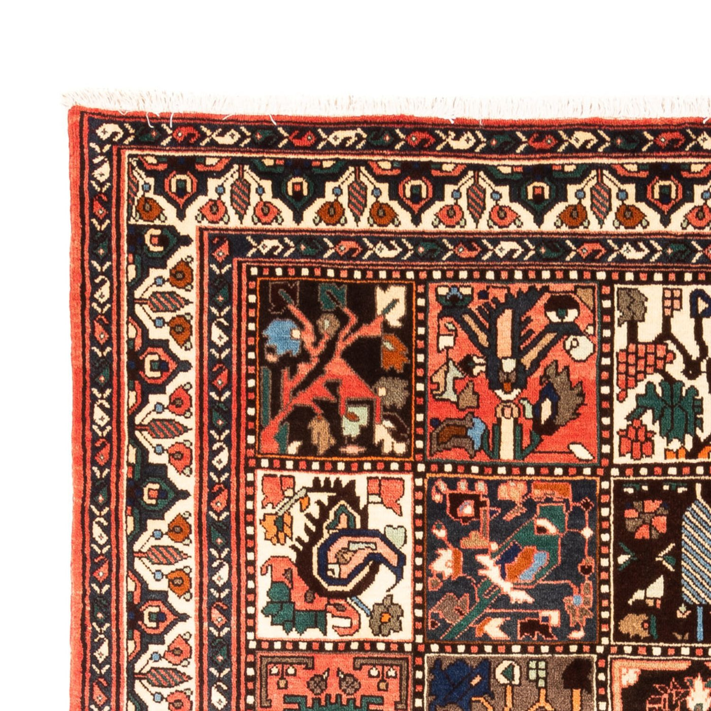 Bachtiar Teppich 300x205cm - Perserteppich