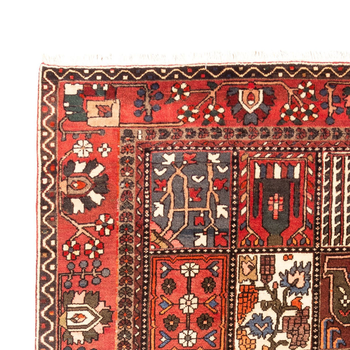 Bachtiar Teppich 207x314cm - Perserteppich