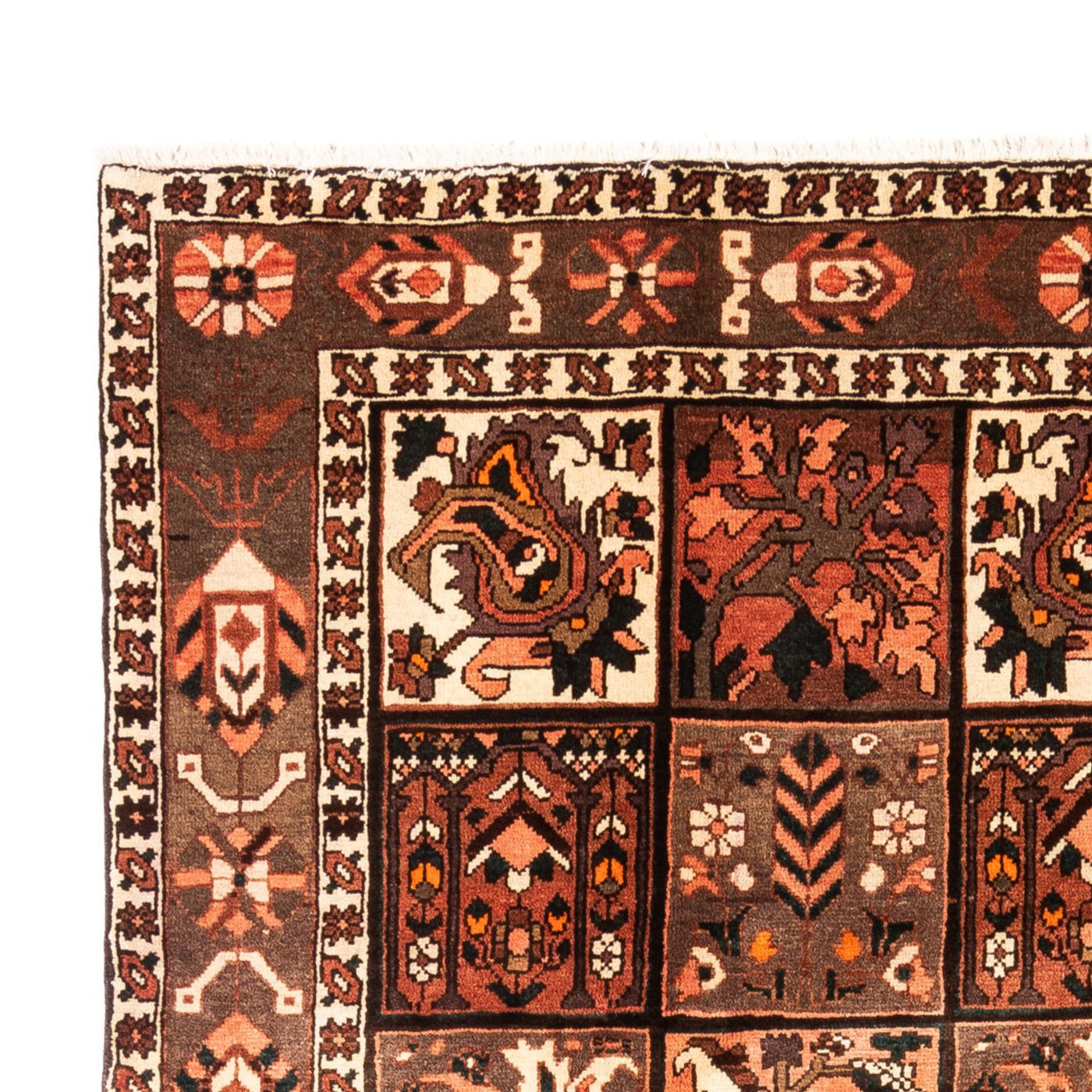 Bachtiar Teppich 307x206cm - Perserteppich