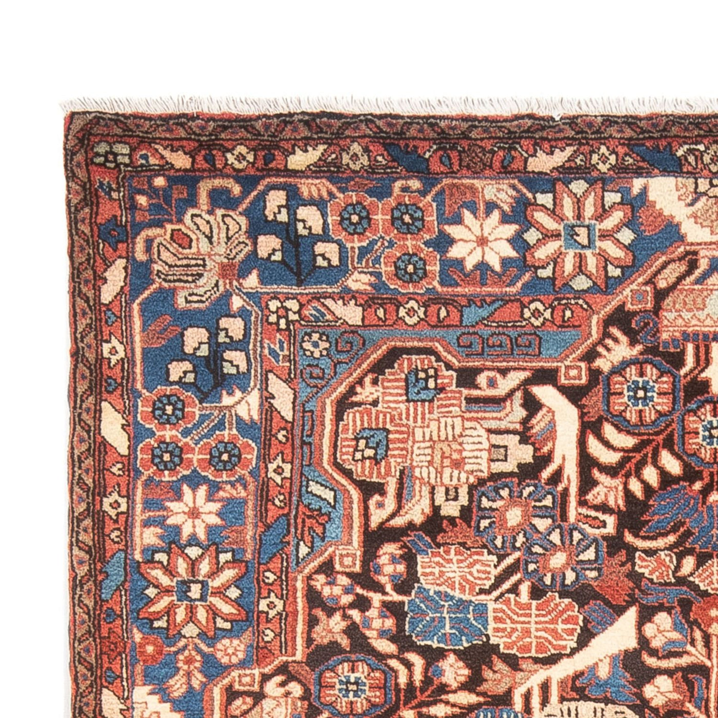 Nahavand Teppich 244x155cm - Perserteppich