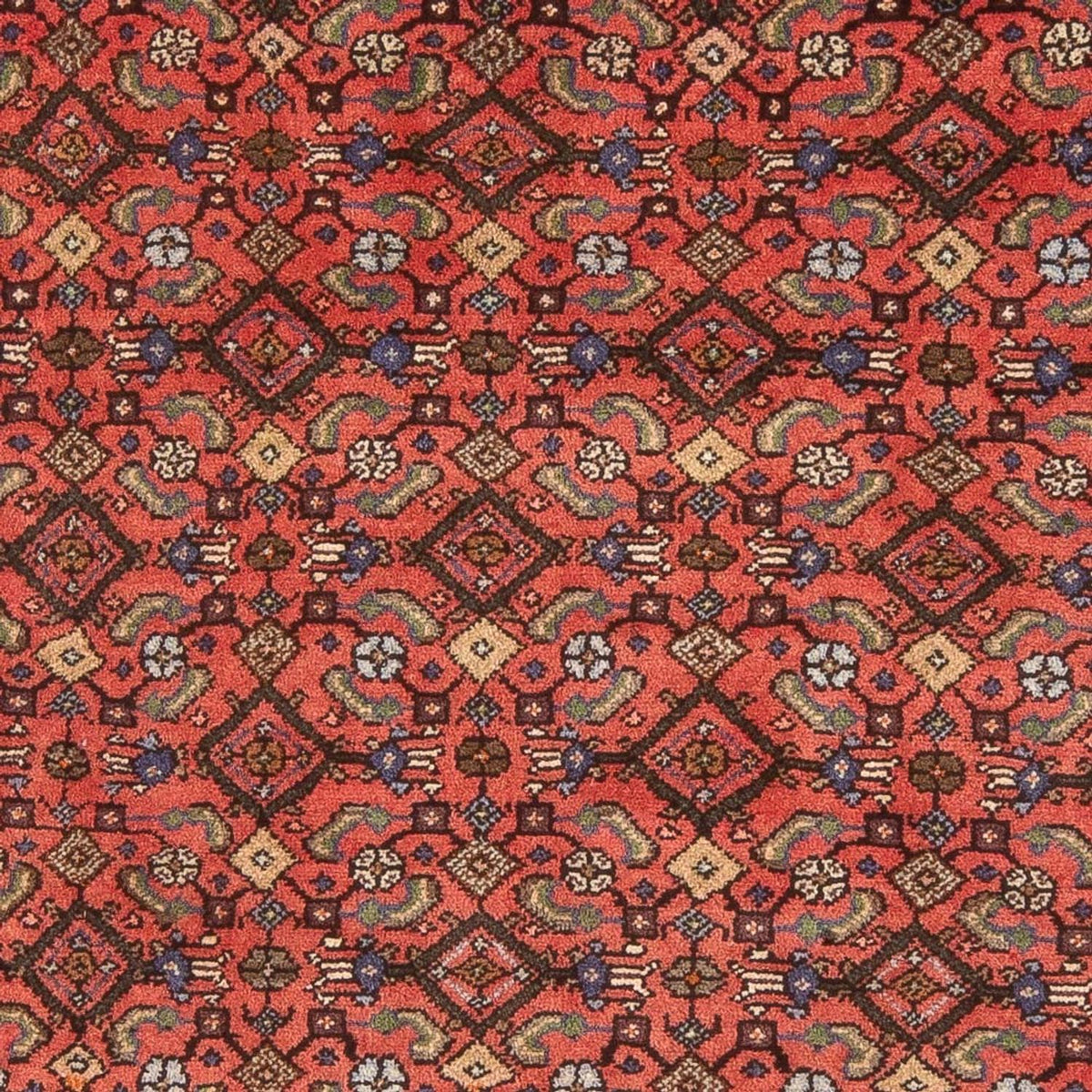 Perserteppich - Nomadic - 202 x 160 cm - rot