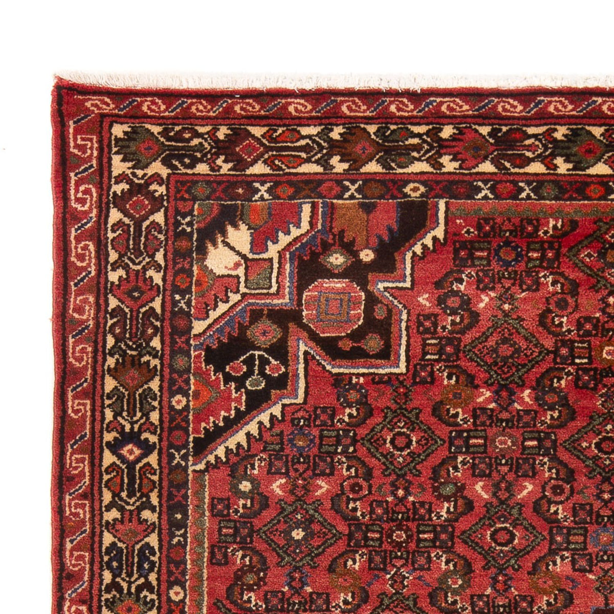 Hamadan Teppich 220x155cm - Perserteppich