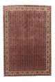 Bidjar Teppich 300x204cm - Perserteppich