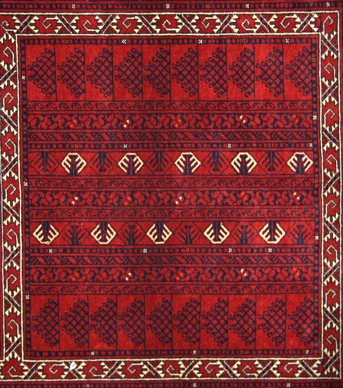 Afghan Teppich 235 x 161 cm - rot