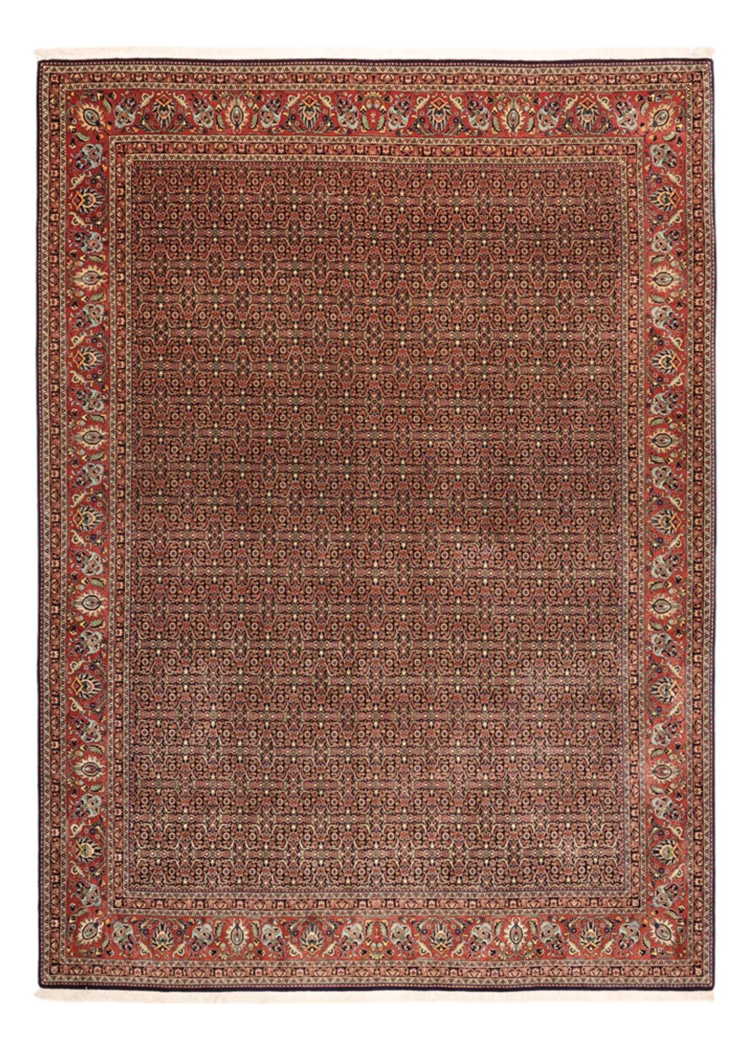Perserteppich - Bidjar - Royal - 342 x 252 cm - terrakotta