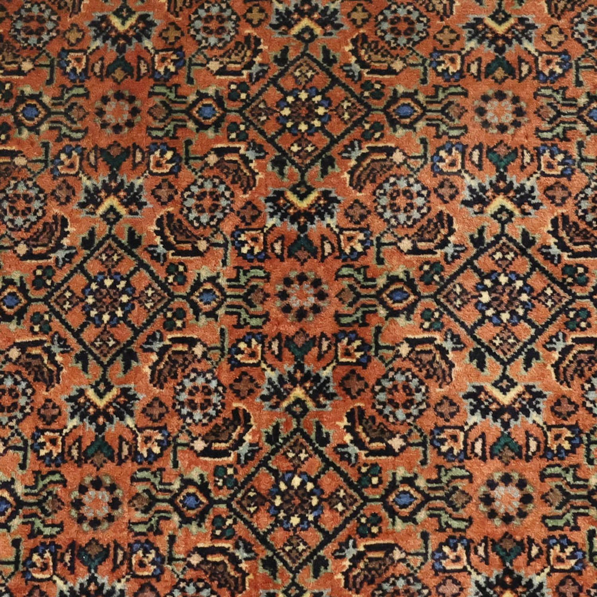 Perserteppich - Bidjar - 144 x 71 cm - dunkelbeige