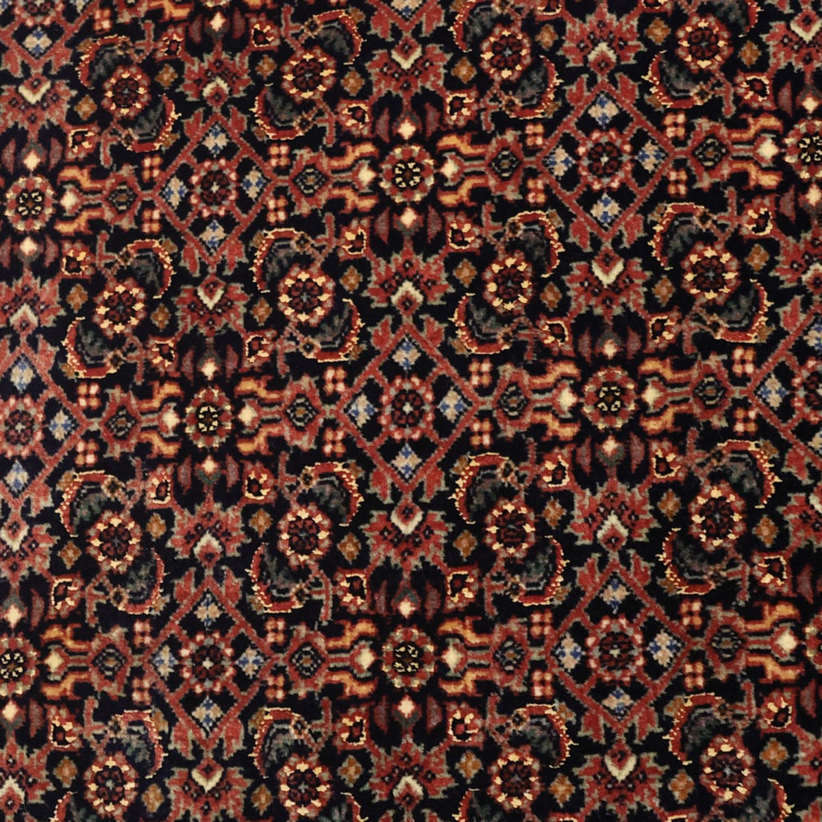 Perserteppich - Bidjar - 152 x 88 cm - dunkelbeige