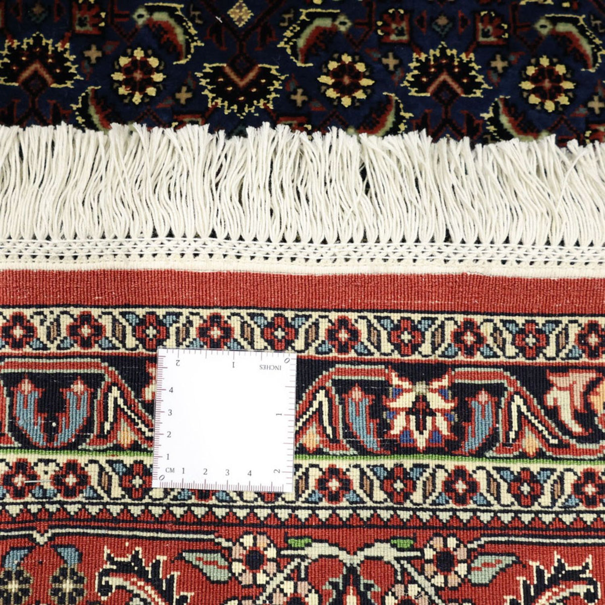 Perserteppich - Bidjar - Royal - 319 x 256 cm - dunkelblau