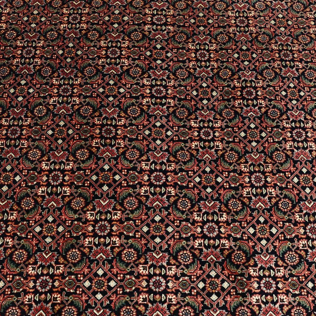 Perserteppich - Bidjar - 337 x 255 cm - dunkelblau