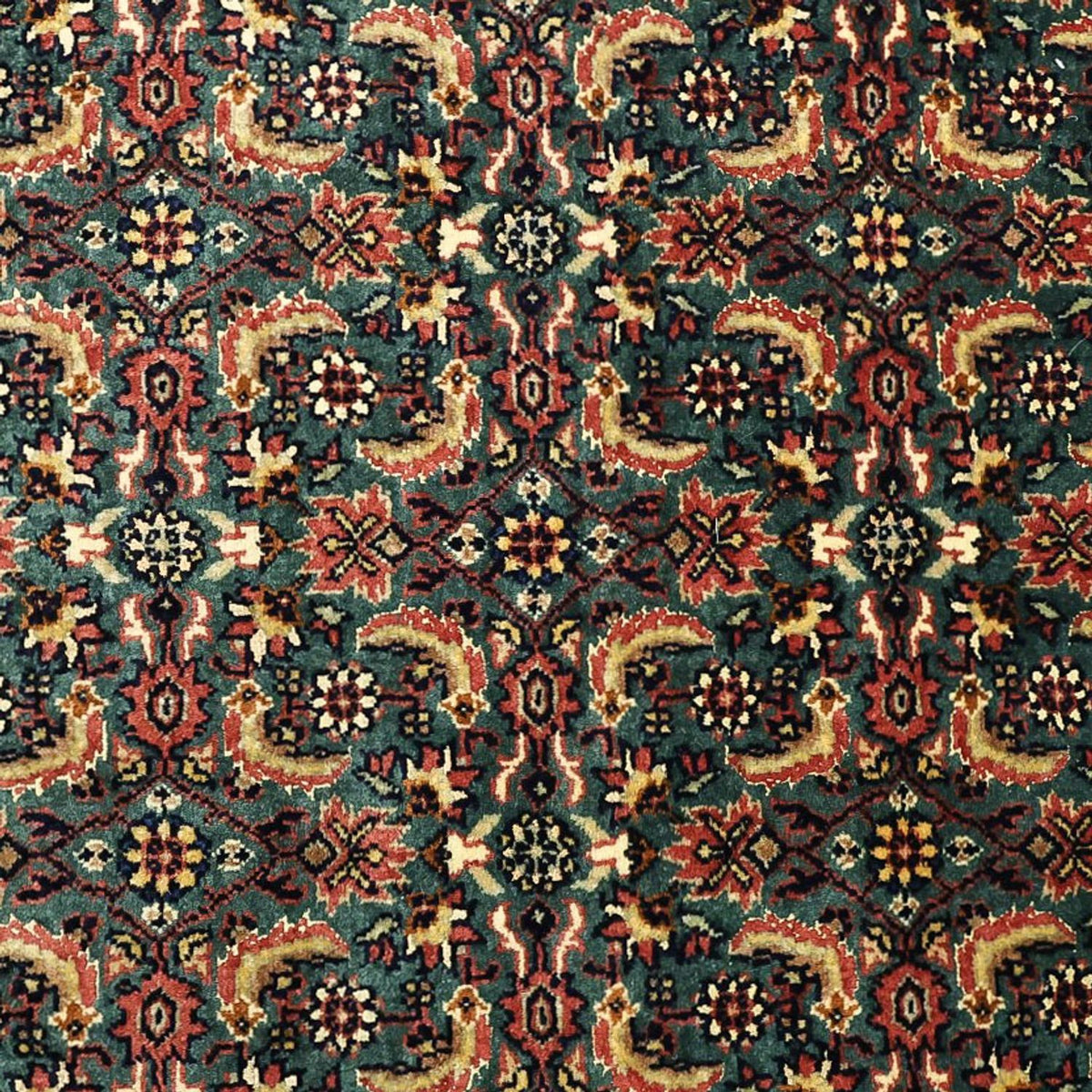 Perserteppich - Bidjar - Royal - 301 x 203 cm - dunkelblau