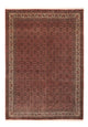 Bidjar Teppich 256x350cm - Perserteppich